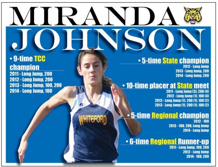 johnson-graphic2.jpg